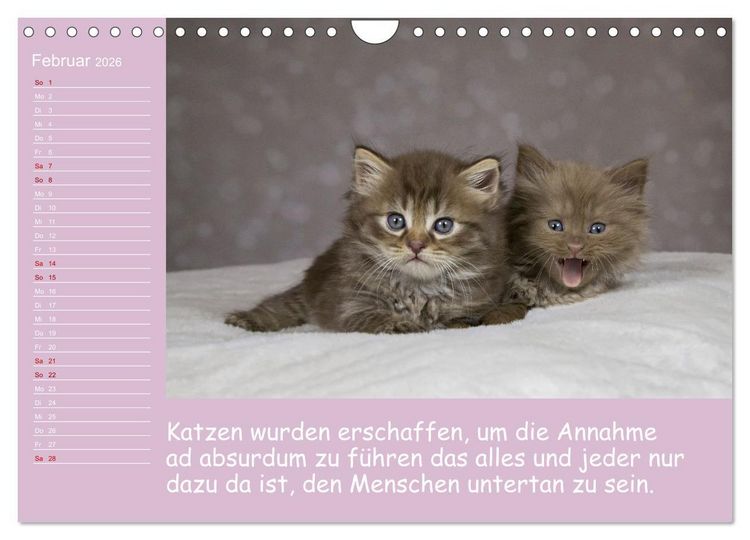 Produktbild: Drollige Tierkinder Mit Spr&uuml;chen (Wandkalender 2026 DIN A4 quer), CALVENDO Monatskalender