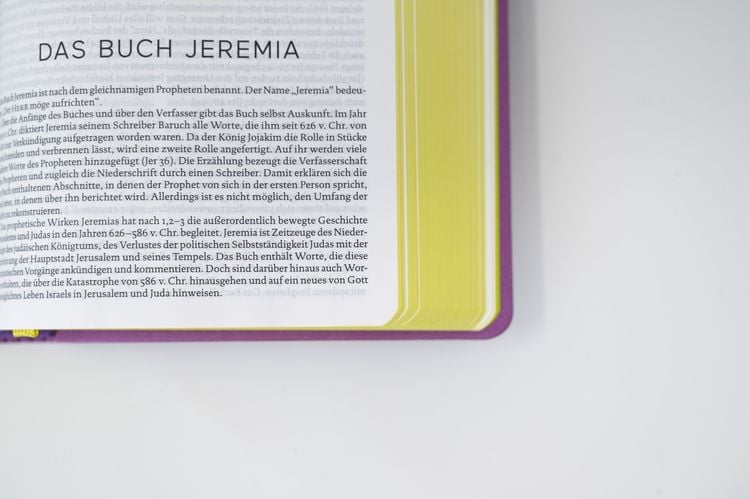 Produktbild: Die Bibel. Senfkorn, Handschmeichler lila