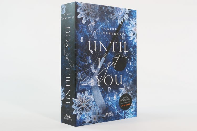 Produktbild: Until I Get You (Fairview Hockey, Band 1)