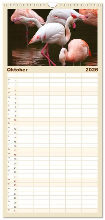 Produktbild: Familienplaner 2026 - Flamingo Zauber mit 5 Spalten (Wandkalender, 21 x 45 cm) CALVENDO