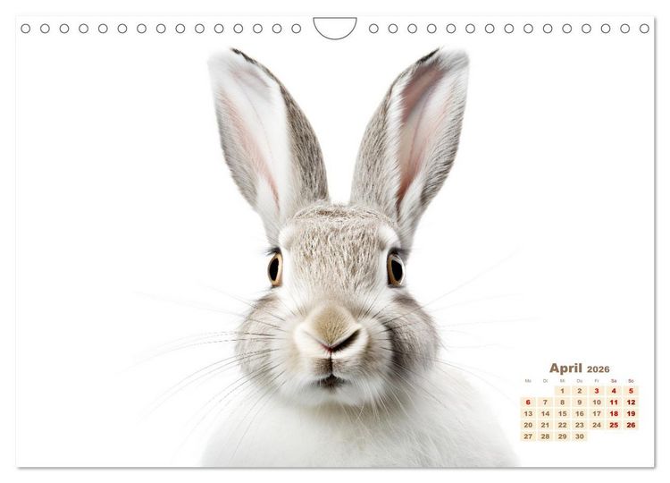 Produktbild: Wei&szlig;e Tierwelt (Wandkalender 2026 DIN A4 quer), CALVENDO Monatskalender