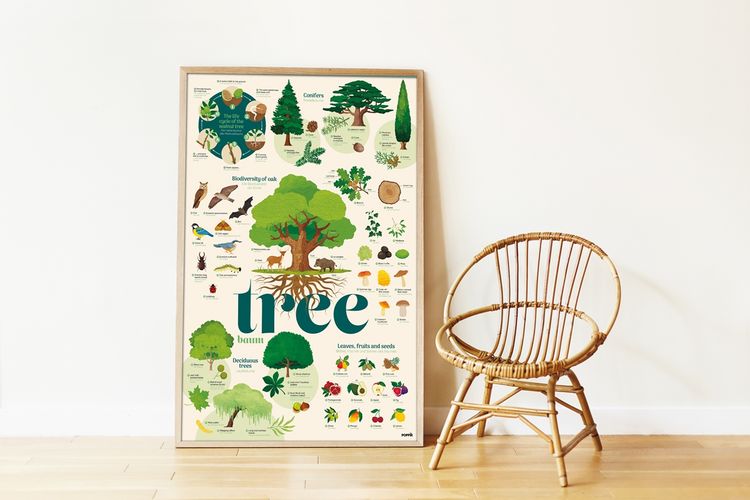Produktbild: POPPIK - Sticker Lernposter B&auml;ume