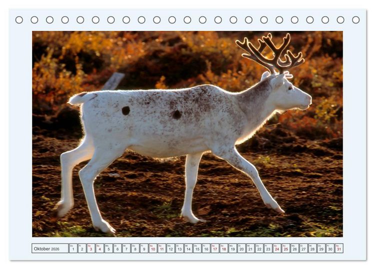 Produktbild: Faszination Finnland (Tischkalender 2026 DIN A5 quer), CALVENDO Monatskalender