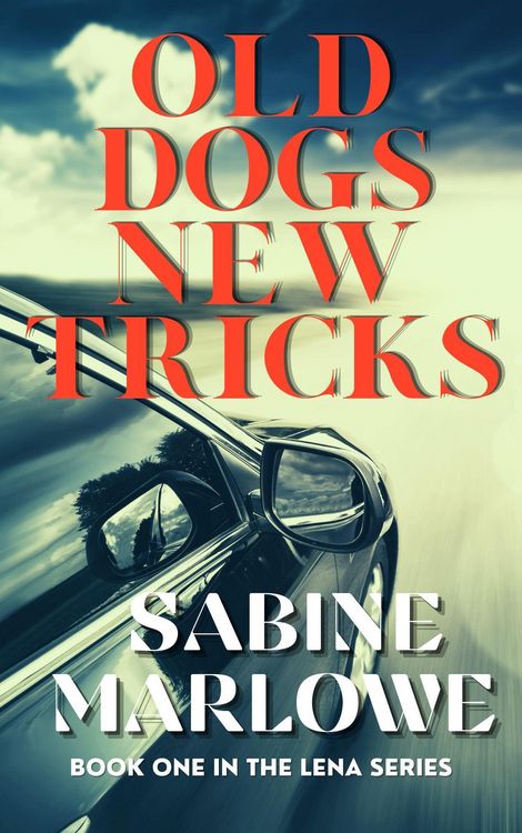Produktbild: Old Dogs New Tricks (The Lena Series, #1)