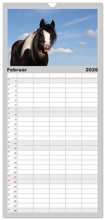 Produktbild: Familienplaner 2026 - Pferde - im Galopp durch's Jahr mit 5 Spalten (Wandkalender, 21 x 45 cm) CALVENDO