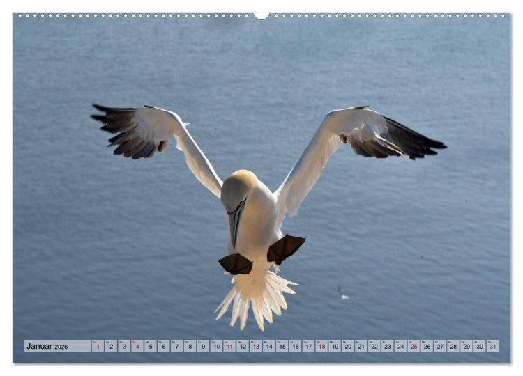 Produktbild: Sch&ouml;ne Insel Helgoland (Wandkalender 2026 DIN A2 quer), CALVENDO Monatskalender