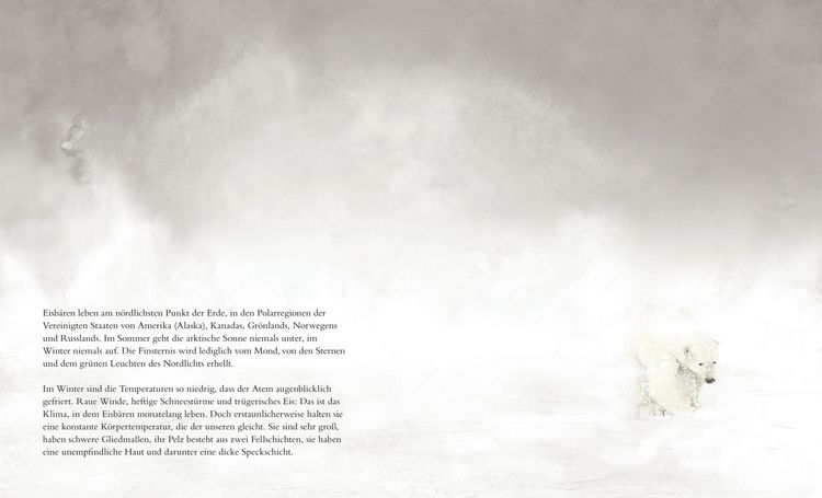 Produktbild: Der Eisb&auml;r