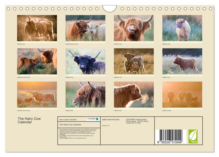 Produktbild: The Hairy Cow Calendar (Wall Calendar 2026 DIN A4 landscape), CALVENDO 12 Month Wall Calendar