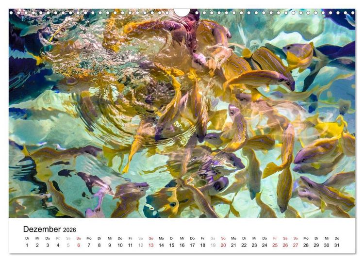 Produktbild: Unterwasserwelt der Malediven I (Wandkalender 2026 DIN A3 quer), CALVENDO Monatskalender
