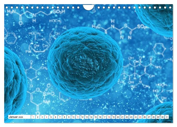 Produktbild: Mikrobiologie. Mikroorganismen, Genetik und Zellen (Wandkalender 2026 DIN A4 quer), CALVENDO Monatskalender