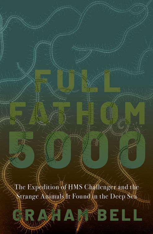 Produktbild: Full Fathom 5000
