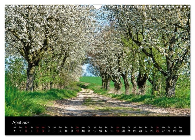 Produktbild: Baum-Variationen (Wandkalender 2026 DIN A3 quer), CALVENDO Monatskalender