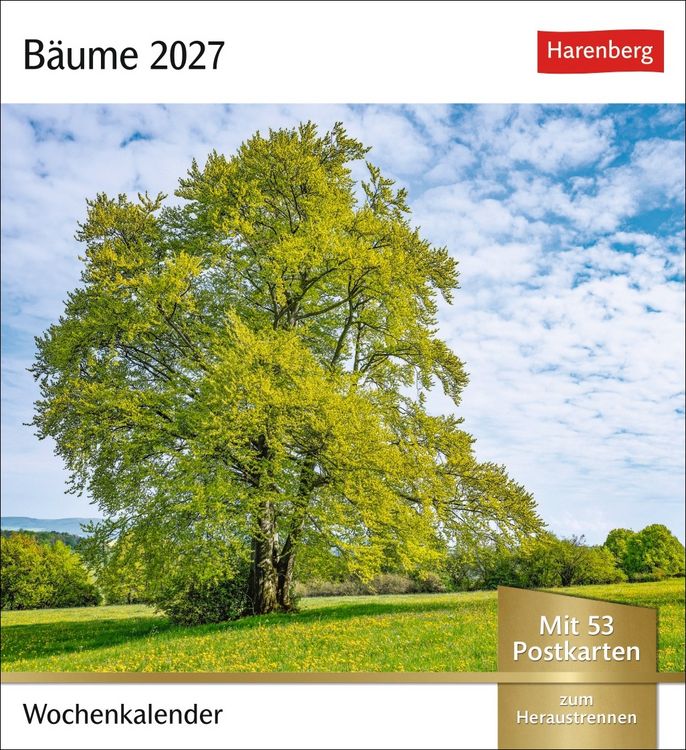 Produktbild: B&auml;ume Postkartenkalender 2027 - Wochenkalender mit 53 Postkarten