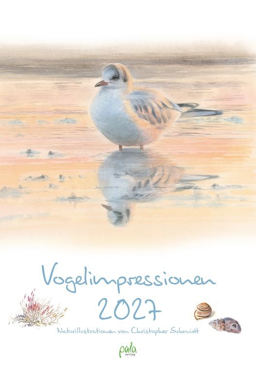 Produktbild: Vogelimpressionen 2027