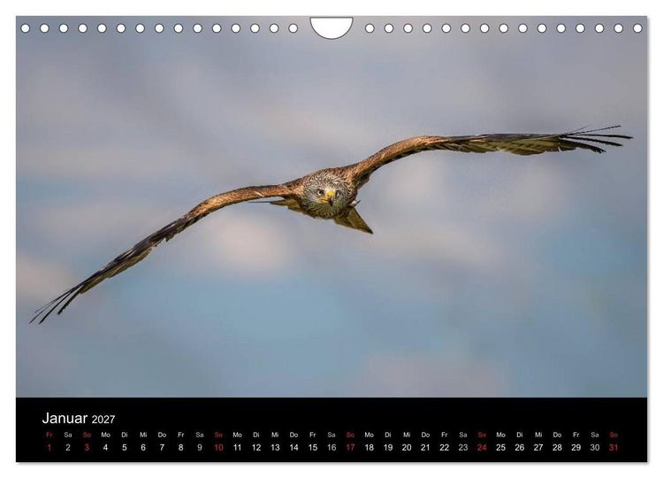 Produktbild: Sch&ouml;nheiten der L&uuml;fte - Greifv&ouml;gel (Wandkalender 2027 DIN A4 quer), CALVENDO Monatskalender