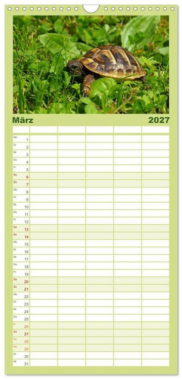 Produktbild: Familienplaner 2027 - Das Leben der Schildkr&ouml;ten mit 5 Spalten (Wandkalender, 21 x 45 cm) CALVENDO