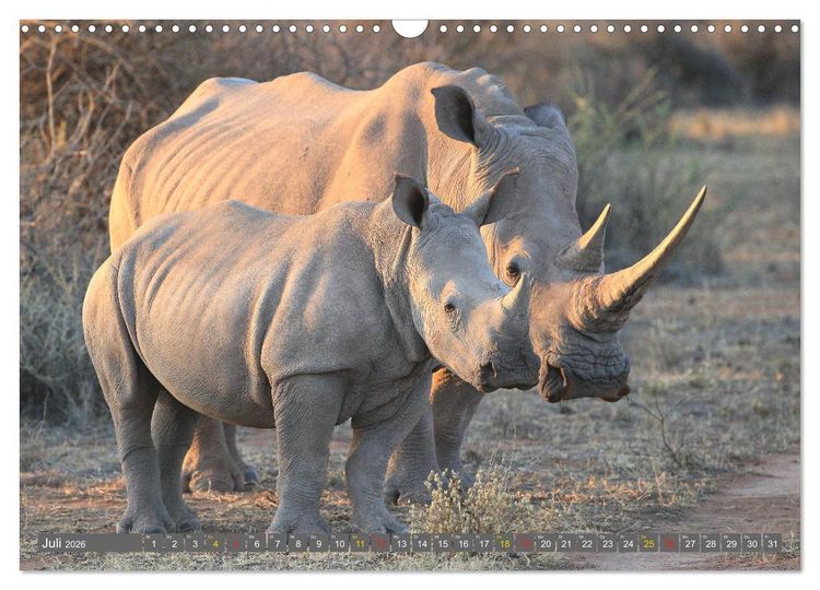 Produktbild: Wildtierparadies Afrika - Eine Foto-Reise durch die Savannen (Wandkalender 2026 DIN A3 quer), CALVENDO Monatskalender