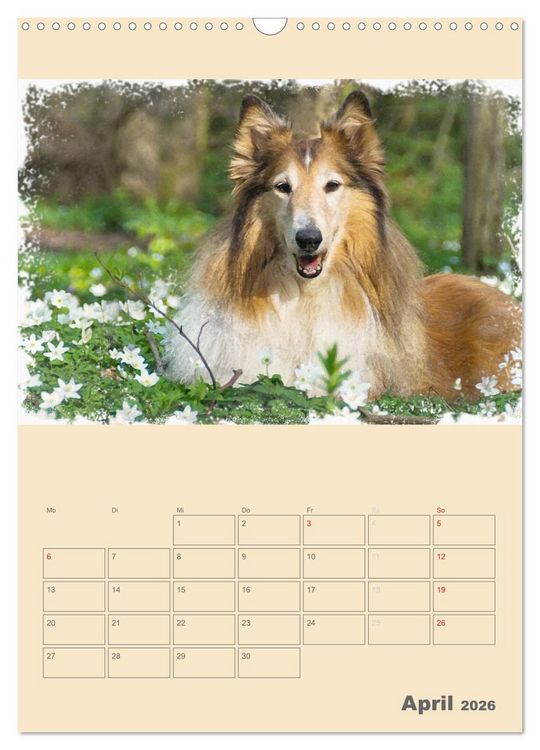 Produktbild: Hunde in Aquarell - Jahresplaner (Wandkalender 2026 DIN A3 hoch), CALVENDO Monatskalender