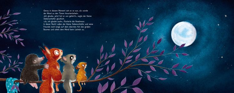 Produktbild: Der kleine Siebenschl&auml;fer 6: Die Geschichte vom kleinen Siebenschl&auml;fer, der dem Mond Gute Nacht sagen wollte