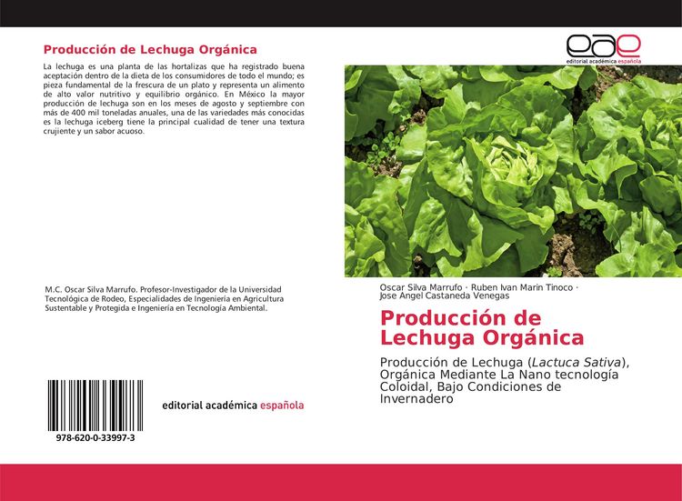 Produktbild: Producci&oacute;n de Lechuga Org&aacute;nica