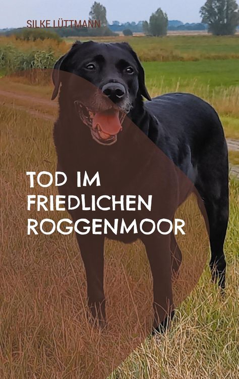 Produktbild: Tod im friedlichen Roggenmoor
