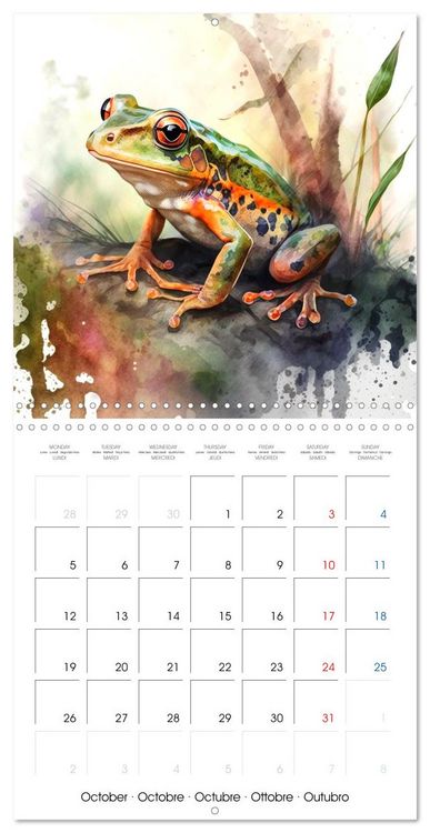 Produktbild: Animaux de la for&ecirc;t &agrave; l'aquarelle (Calendrier mural carr&eacute; 2026 30x30 cm) Calendrier double avec une page pour vos prises de notes