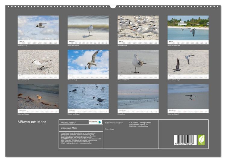 Produktbild: M&ouml;wen am Meer (hochwertiger Premium Wandkalender 2026 DIN A2 quer), Kunstdruck in Hochglanz