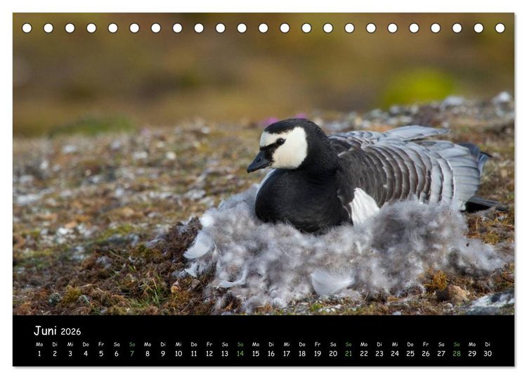 Produktbild: Spitzbergen (Tischkalender 2026 DIN A5 quer), CALVENDO Monatskalender