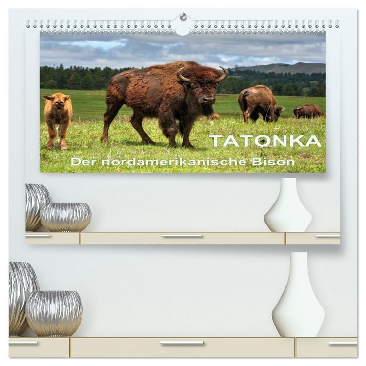 Produktbild: TATONKA Der nordamerikanische Bison (hochwertiger Premium Wandkalender 2026 DIN A2 quer), Kunstdruck in Hochglanz