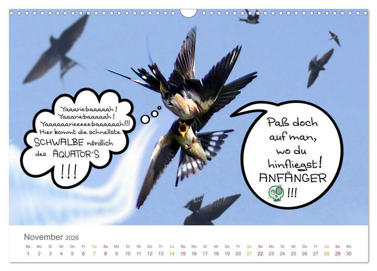 Produktbild: Wenn Schwalben reden (Wandkalender 2026 DIN A3 quer), CALVENDO Monatskalender