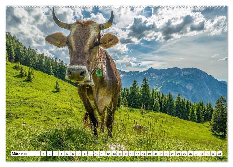 Produktbild: Kuhle Typen (Wandkalender 2026 DIN A2 quer), CALVENDO Monatskalender