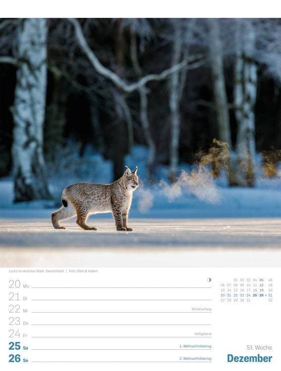 Produktbild: Planet Erde Wochenplaner Kalender 2027 | Landschaften der Welt