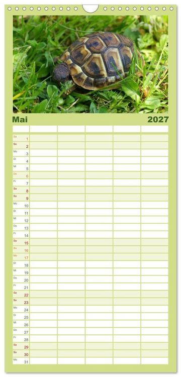 Produktbild: Familienplaner 2027 - Das Leben der Schildkr&ouml;ten mit 5 Spalten (Wandkalender, 21 x 45 cm) CALVENDO