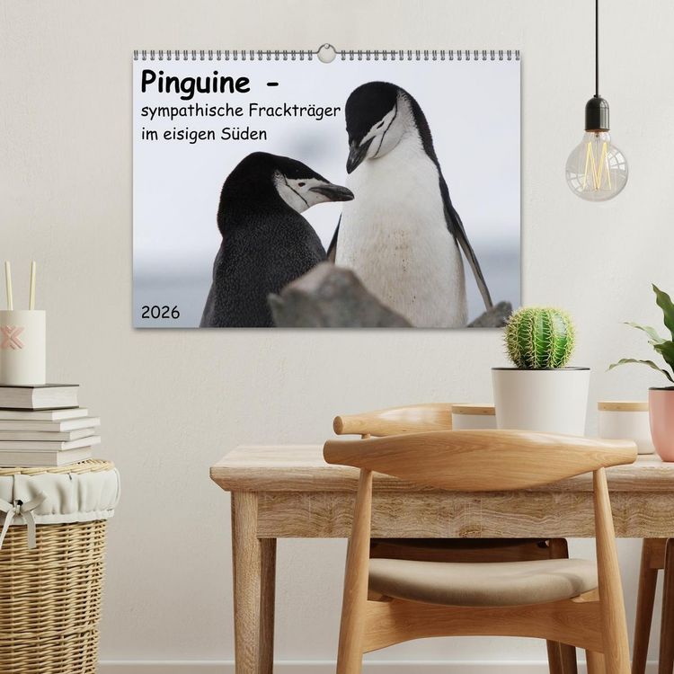 Produktbild: Pinguine - sympathische Fracktr&auml;ger im eisigen S&uuml;den (Wandkalender 2026 DIN A3 quer), CALVENDO Monatskalender