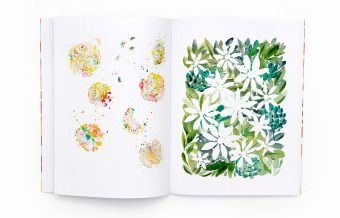 Produktbild: Botanische Aquarelle