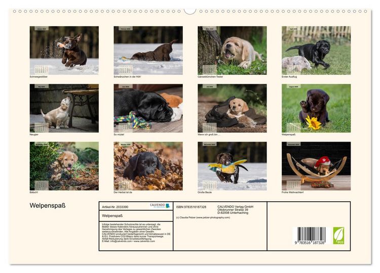 Produktbild: Welpenspa&szlig; (hochwertiger Premium Wandkalender 2026 DIN A2 quer), Kunstdruck in Hochglanz