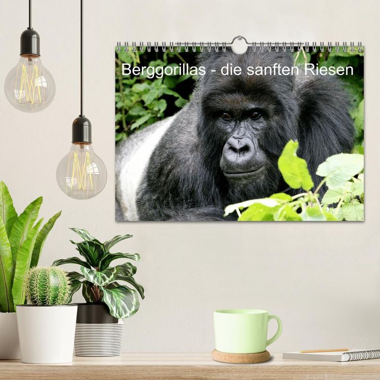 Produktbild: Berggorillas - die sanften Riesen (Wandkalender 2026 DIN A4 quer), CALVENDO Monatskalender