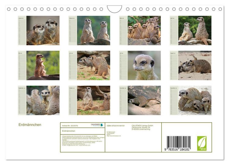 Produktbild: Erdm&auml;nnchen (Wandkalender 2026 DIN A4 quer), CALVENDO Monatskalender