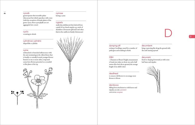 Produktbild: A Botanist's Vocabulary