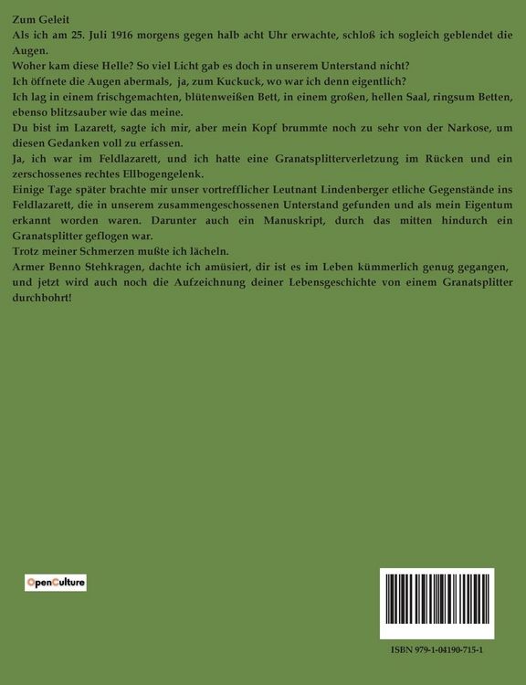 Produktbild: Benno Stehkragen
