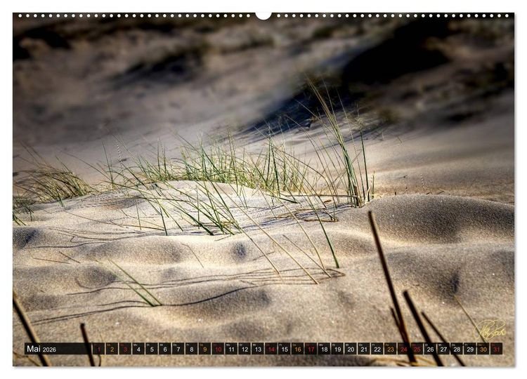Produktbild: Nordsee-D&uuml;nen (hochwertiger Premium Wandkalender 2026 DIN A2 quer), Kunstdruck in Hochglanz