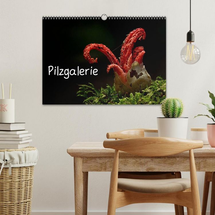 Produktbild: Pilzgalerie (Wandkalender 2026 DIN A3 quer), CALVENDO Monatskalender