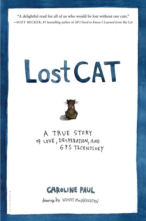 Produktbild: Lost Cat