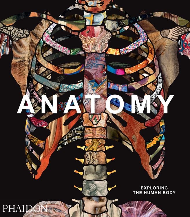 Produktbild: Anatomy: Exploring the Human Body