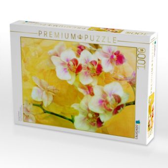 Produktbild: CALVENDO Puzzle Sonnige Orchideen | 1000 Teile Lege-Gr&ouml;&szlig;e 64x48cm Foto-Puzzle f&uuml;r gl&uuml;ckliche Stunden