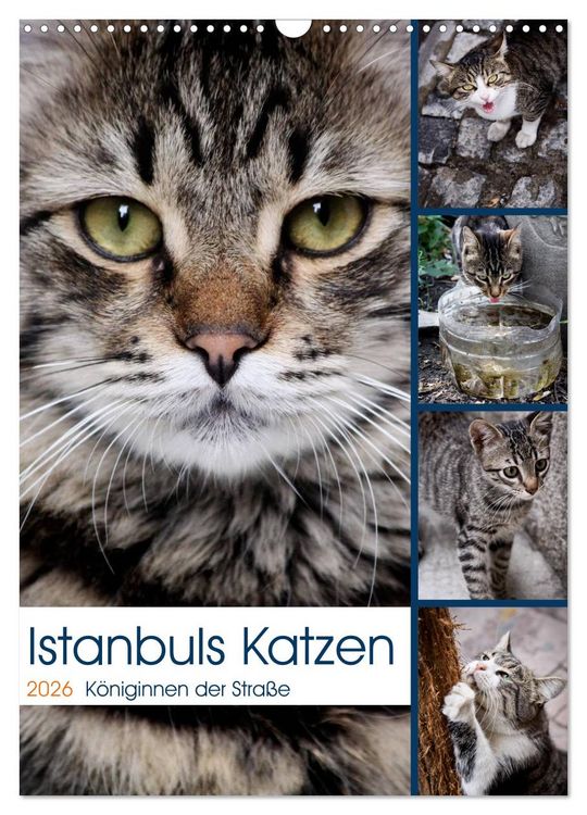 Produktbild: Istanbuls Katzen (Wandkalender 2026 DIN A3 hoch), CALVENDO Monatskalender