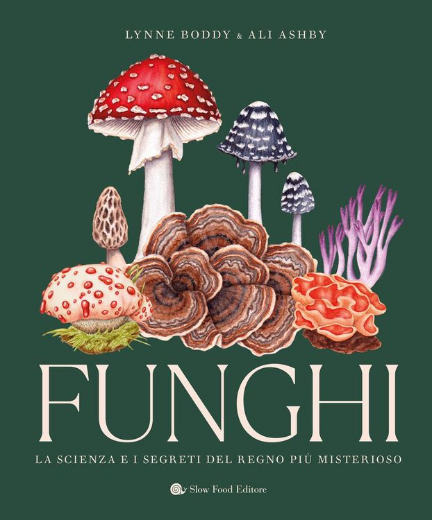 Produktbild: Funghi. La scienza e i segreti del regno pi&ugrave; misterioso