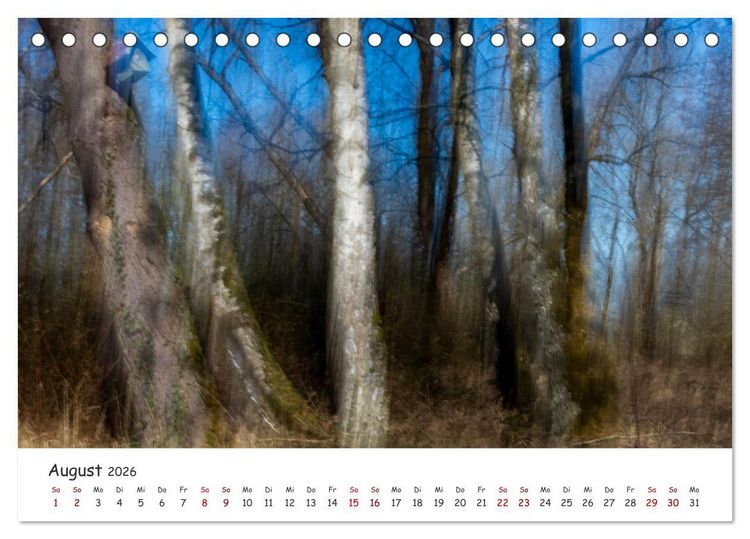 Produktbild: Abstrakte Naturerlebnisse - ICM (Intentional Camera Movement) Fotografie (Tischkalender 2026 DIN A5 quer), CALVENDO Monatskalender