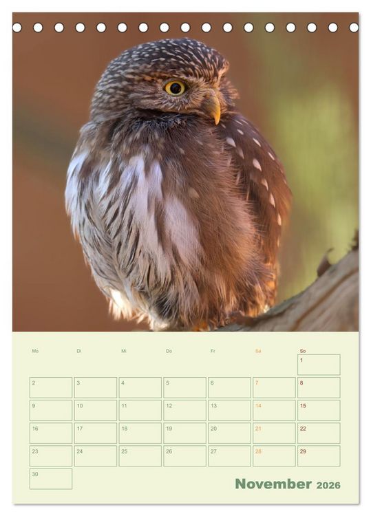 Produktbild: Waldmomente (Tischkalender 2026 DIN A5 hoch), CALVENDO Monatskalender