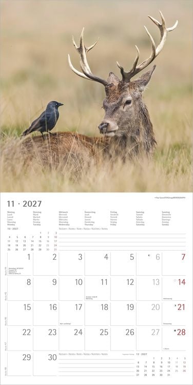 Produktbild: Tierfreundschaften 2027